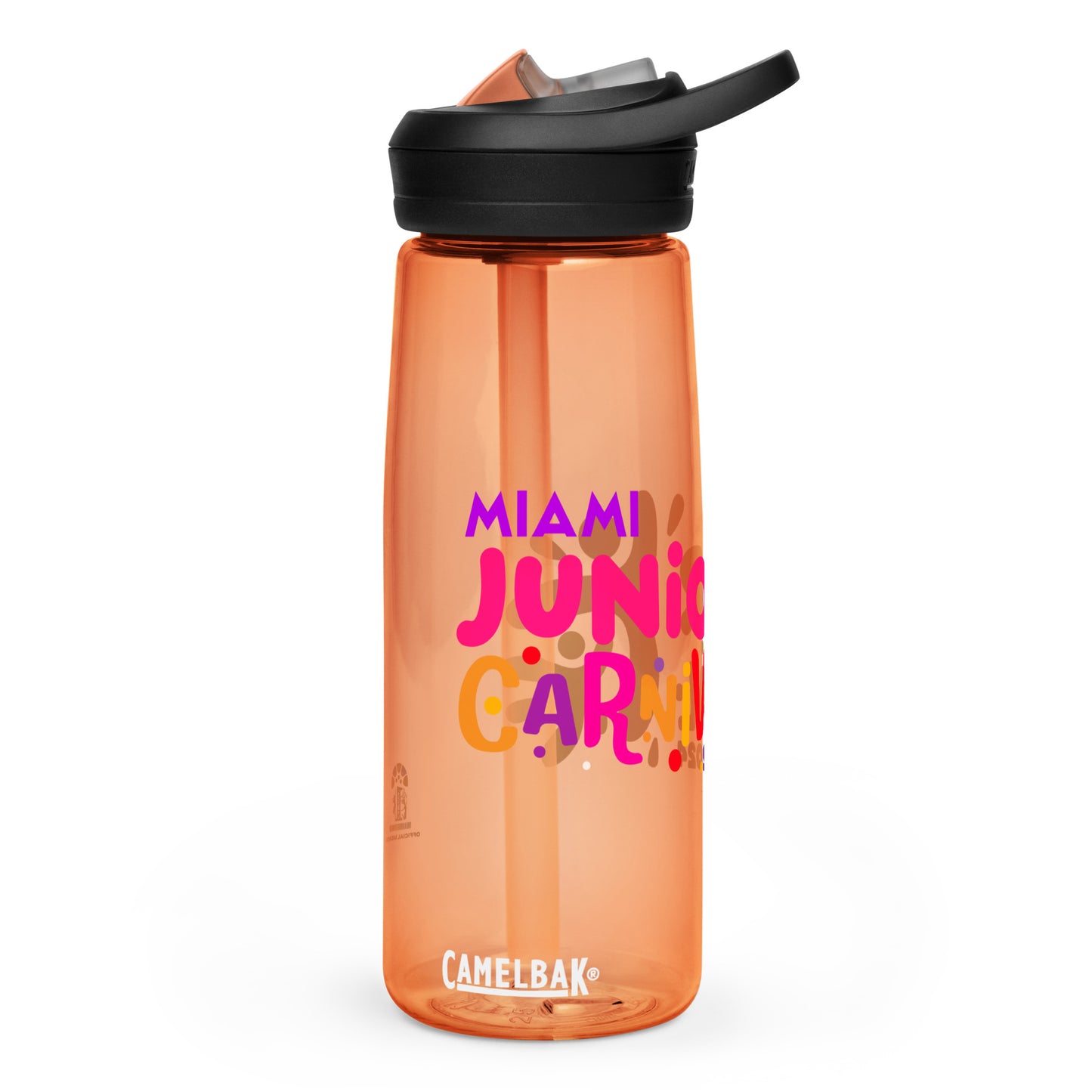 Junior Carnival Sports Water Bottle | 25oz